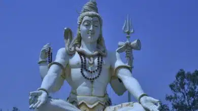 Shivoham Shiva Temple: The sacred land of devotion