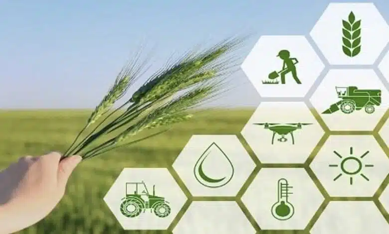 The Role of Agriculture in Social Organization