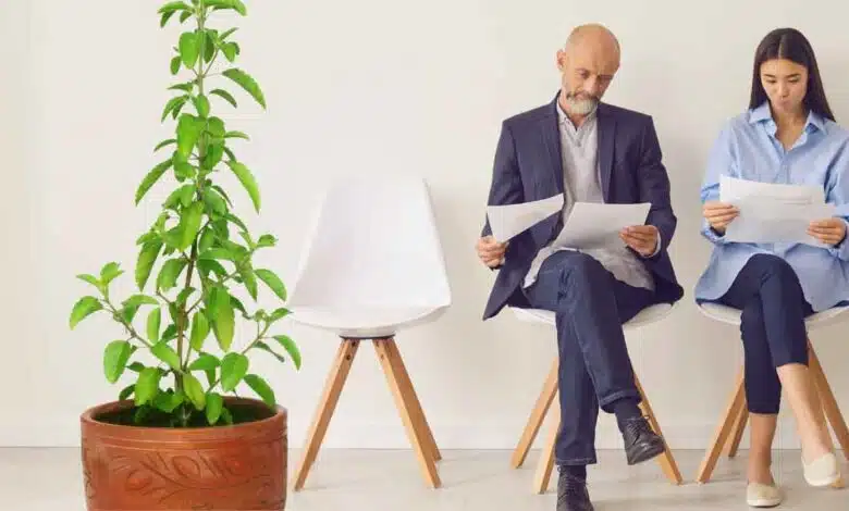 These 2 remedies of Tulsi Get a job immediately!