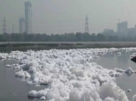 Toxic foam was seen floating in the Yamuna river in Delhi's Kalindi Kunj area