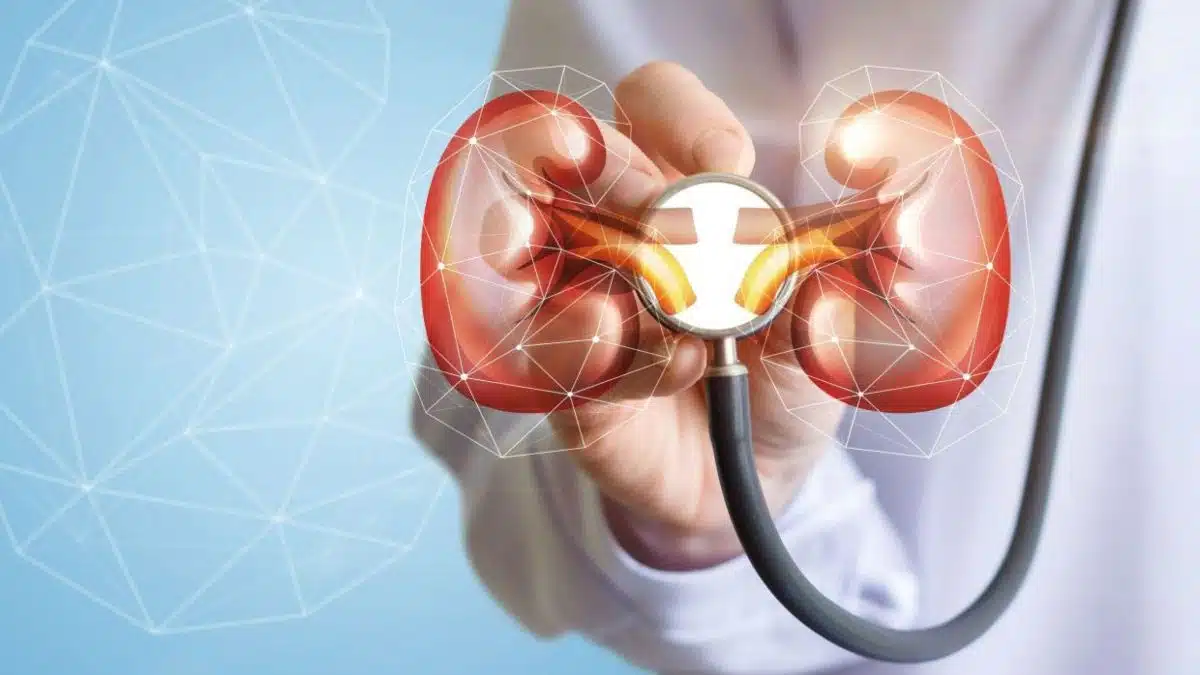 Kidney Disease: A Comprehensive Guide to Prevention and Treatment