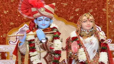 Tulsi Vivah 2024: Know date, auspicious time, significance and more