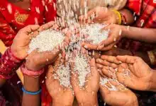 Union Cabinet approves continuation of free supply of Fortified Rice till 2028