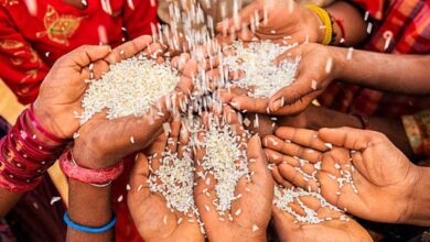 Union Cabinet approves continuation of free supply of Fortified Rice till 2028