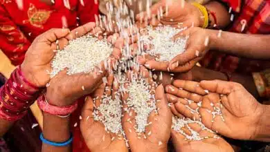Union Cabinet approves continuation of free supply of Fortified Rice till 2028