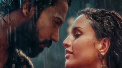 Vicky Vidya Ka Woh Wala Video 4rt Day Collection: The film earned Rs 2.25 crore on Monday.