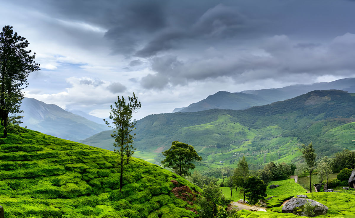 Ooty to Kodaikanal: 5 Best Places to Visit in South India During Winters