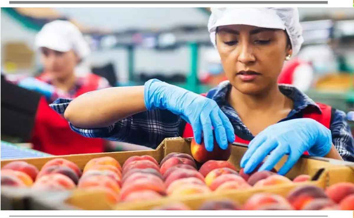 Women in Food Processing: A Growing Impact