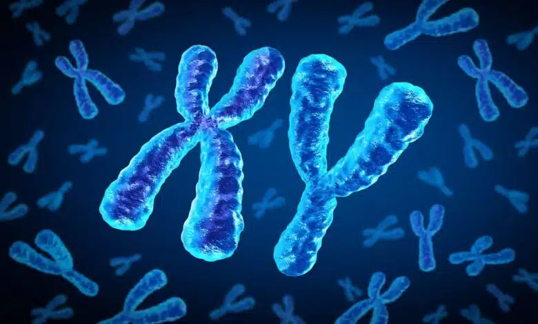 Reason for shrinkage of Y chromosome