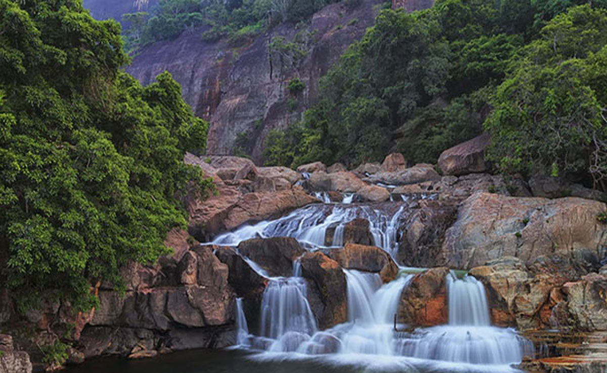 From Pichavaram to Meghamalai; Explore these less explored destinations in Tamil Nadu