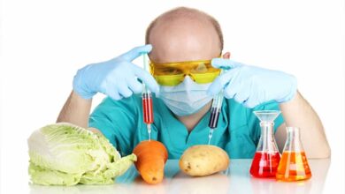 Chemicals in Food: What You Need to Know