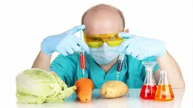 Chemicals in Food: What You Need to Know
