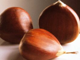 How Can I Tell if Chestnuts Are Fresh?