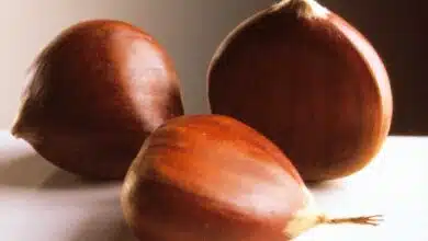 How Can I Tell if Chestnuts Are Fresh?