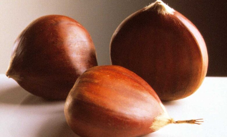 How Can I Tell if Chestnuts Are Fresh?