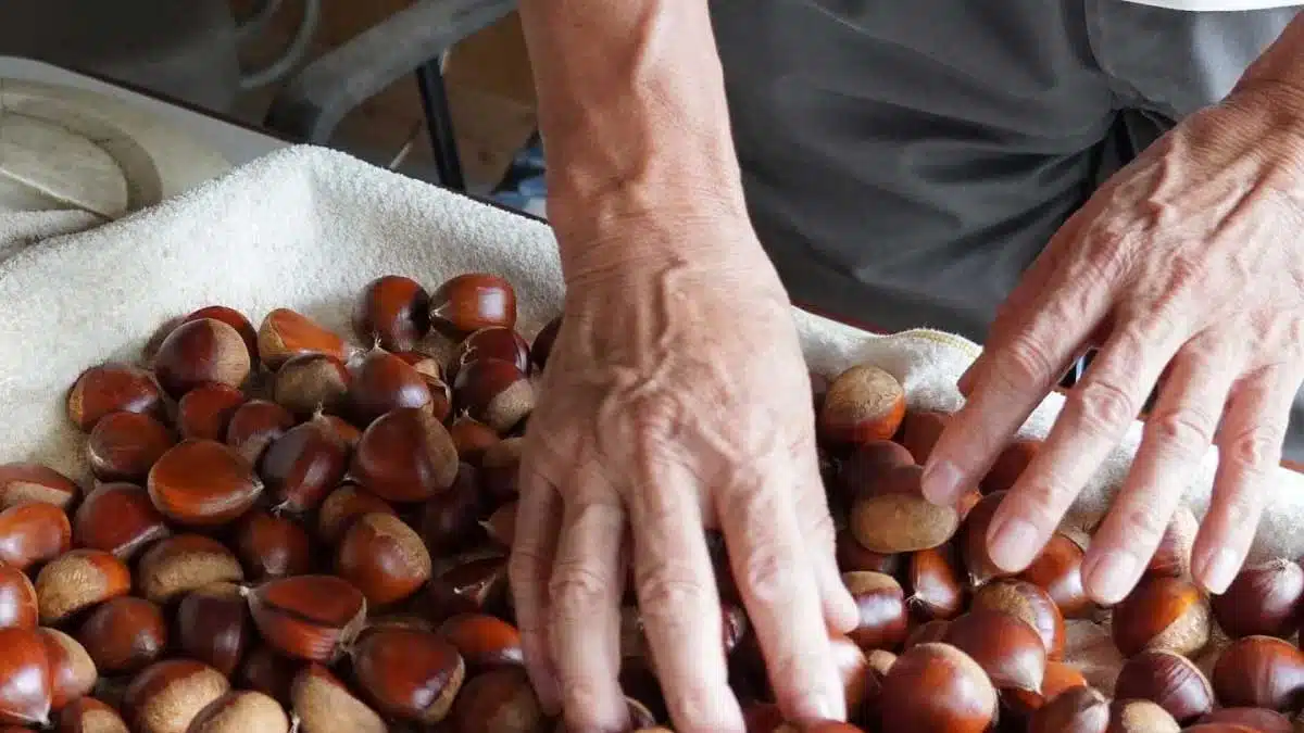 Chestnuts for heart health