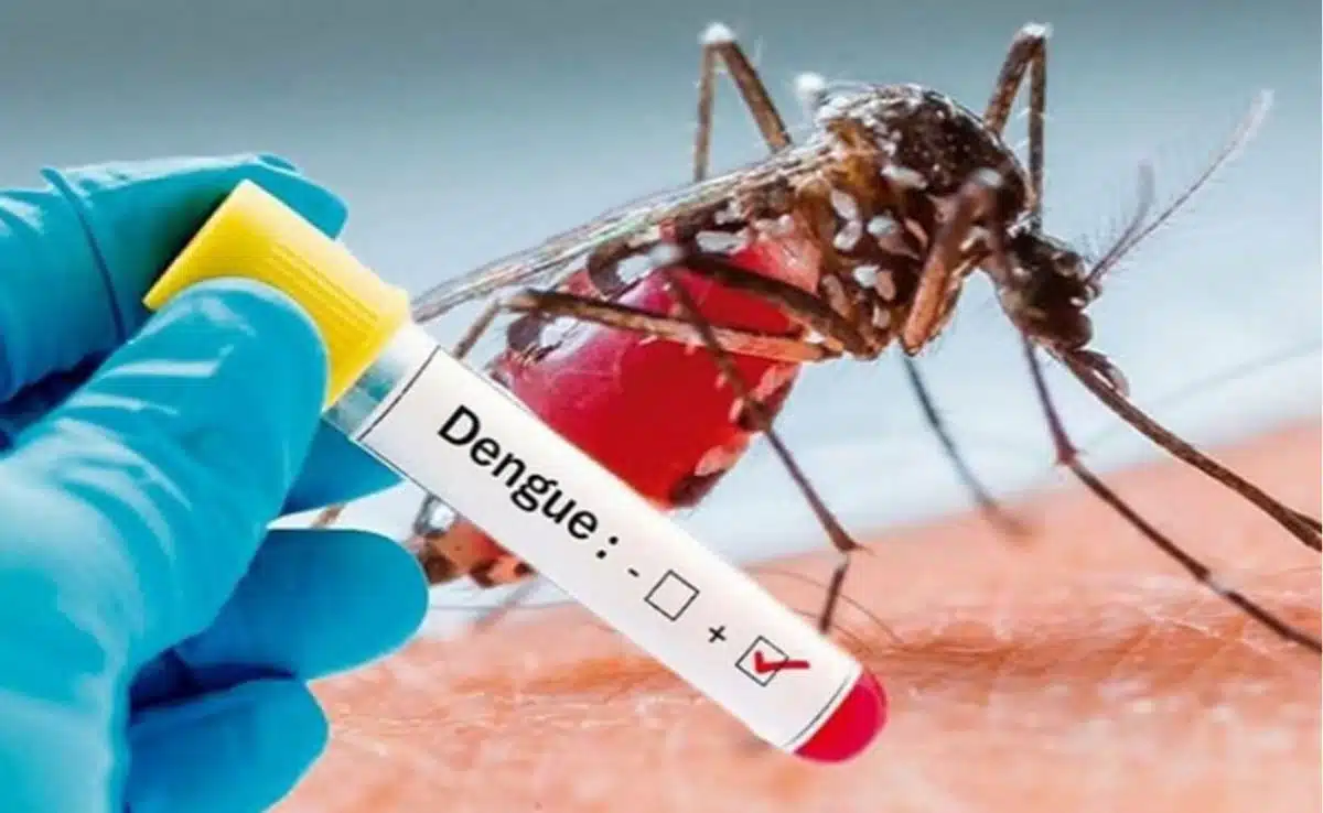 Dengue Fever: Symptoms and things to be careful about