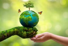 The most effective ways to protect the environment