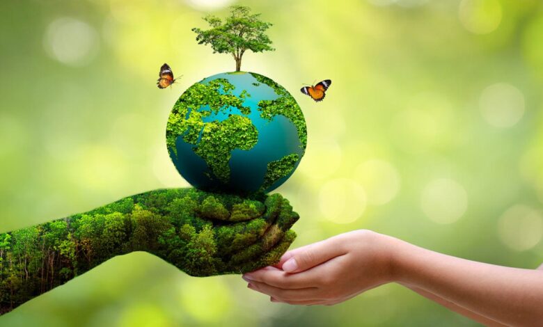 The most effective ways to protect the environment