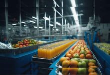 Exploring the Future of Food Processing Innovations