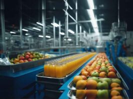 Exploring the Future of Food Processing Innovations