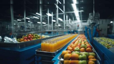 Exploring the Future of Food Processing Innovations