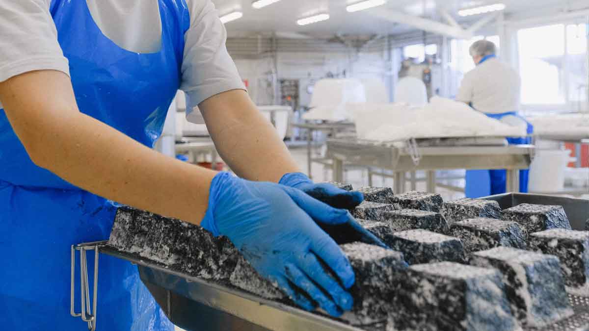 Exploring the Future of Food Processing Innovations