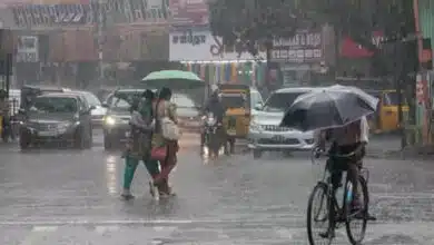 IMD predicts heavy rains in Tamil Nadu, Kerala and Karnataka till early November