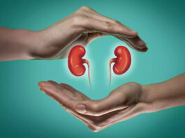 Kidney Disease: A Comprehensive Guide to Prevention and Treatment