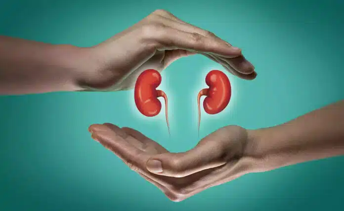 Kidney Disease: A Comprehensive Guide to Prevention and Treatment