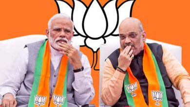 BJP announced names of 25 candidates in the new list for Maharashtra elections.