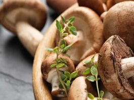 6 Fascinating Facts About Mushrooms