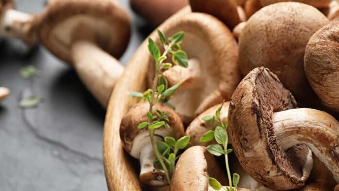 6 Fascinating Facts About Mushrooms