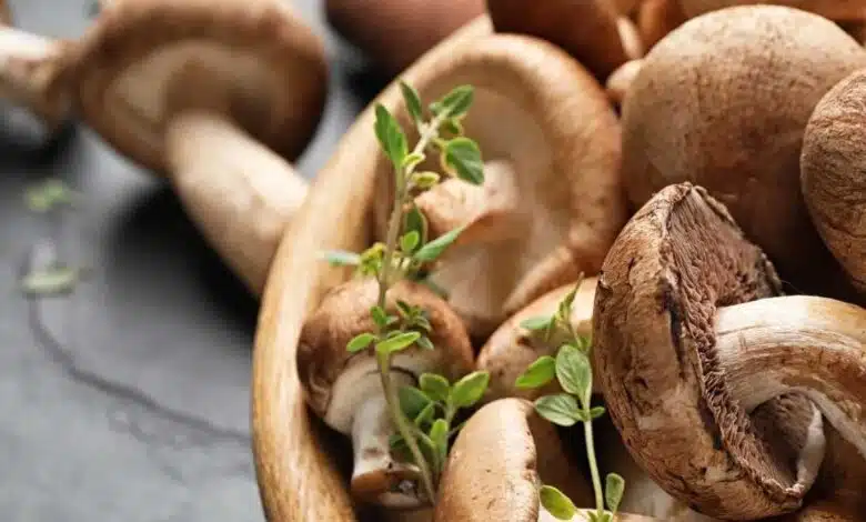 5 Common Myths About Mushrooms Debunked