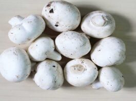 7 Health Benefits of Eating Mushrooms