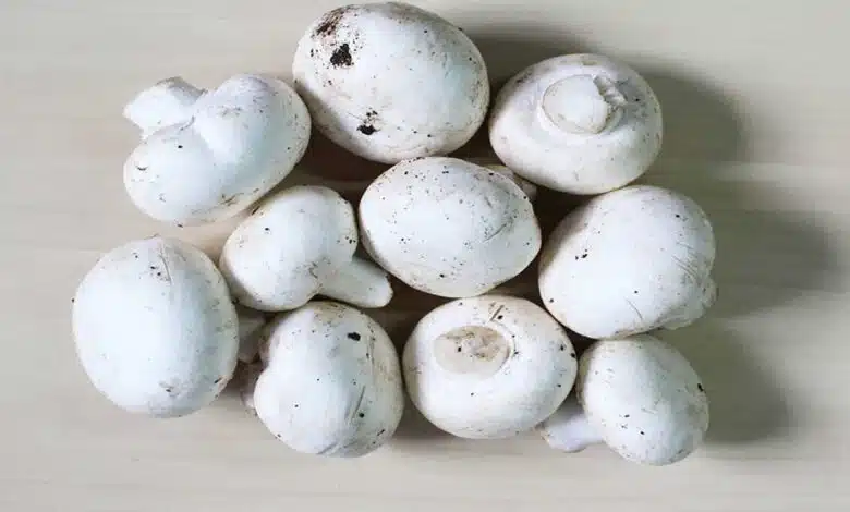 7 Health Benefits of Eating Mushrooms