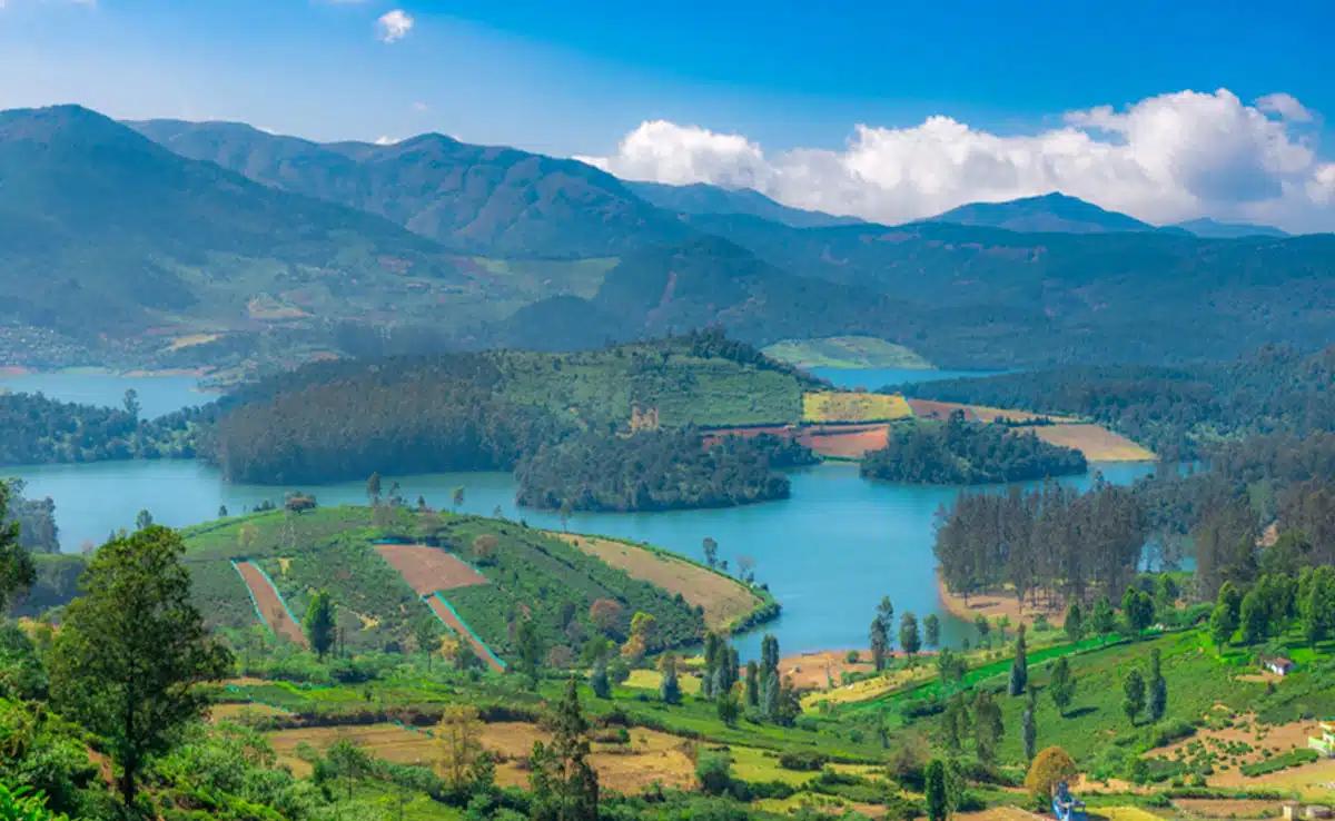 Ooty to Kodaikanal: 5 Best Places to Visit in South India During Winters