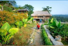 Rural Tourism: Confluence of nature and culture