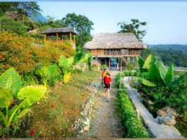 Rural Tourism: Confluence of nature and culture