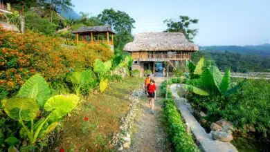 Rural Tourism: Confluence of nature and culture