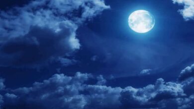 Sharad Purnima: When is Sharad Purnima in 2024? Know the date, auspicious time and importance
