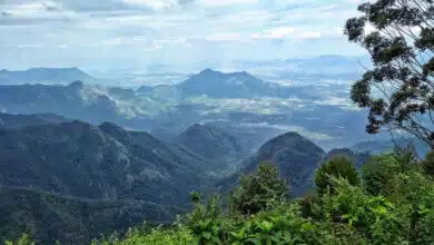 From Pichavaram to Meghamalai; Explore these less explored destinations in Tamil Nadu