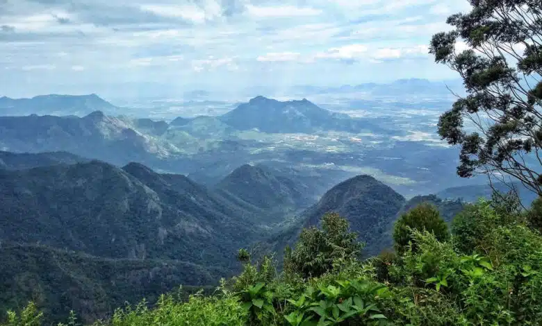 From Pichavaram to Meghamalai; Explore these less explored destinations in Tamil Nadu