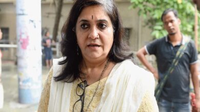 SC allows Teesta Setalvad to attend film festival in Amsterdam