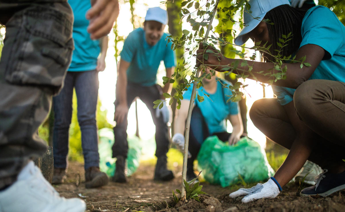 The most effective ways to protect the environmentThe most effective ways to protect the environment