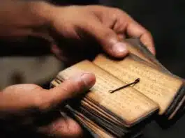 Why is Indology important?