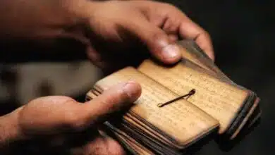 Why is Indology important?