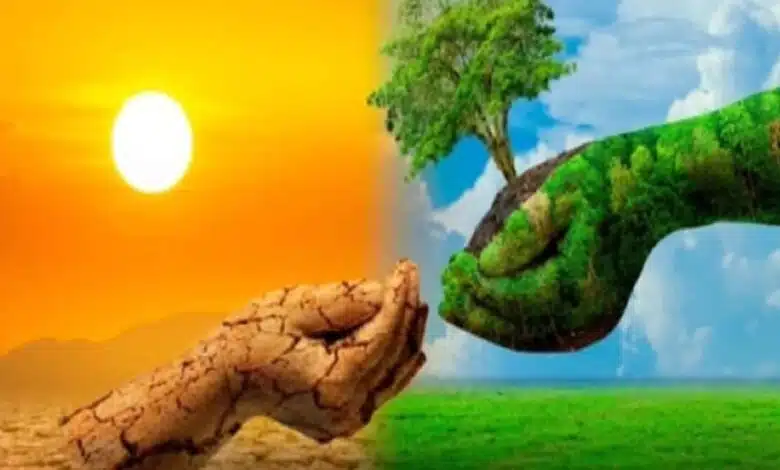 Why is the environment a complex web of life