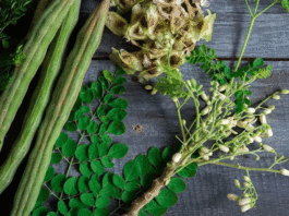 5 creative ways to incorporate Moringa into your weight loss diet"