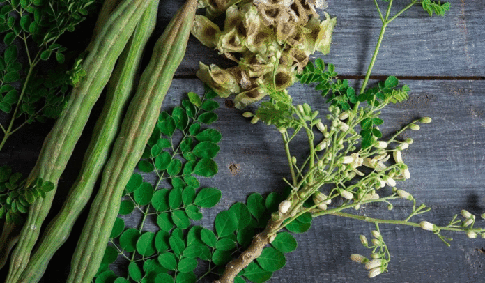 5 creative ways to incorporate Moringa into your weight loss diet